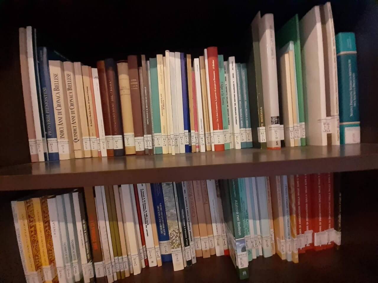Monografia - Sezione biellese